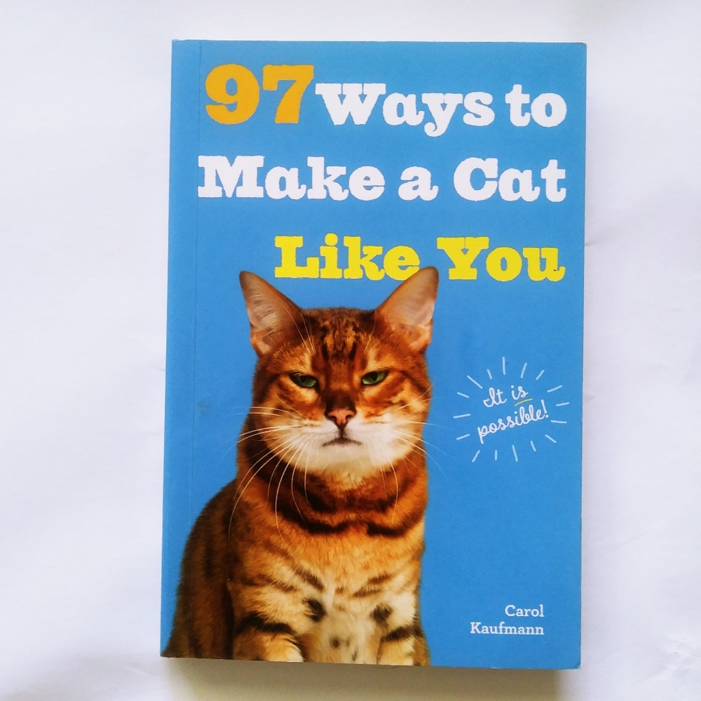 Book Ways to Make Your Cat Happy